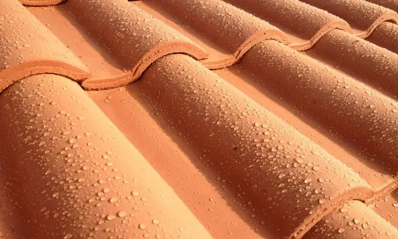 démoussage de toiture,nettoyage de toiture,entretien tuiles,produits ecologique,devis gratuit DEMOUSSAGE de TOITURE HABITAT CLEAN 21200 BEAUNE