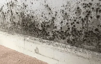 traitement-remontees-capillaires-facade-injection-remontee-humidite-capillarite-habitat-clean traitement-remontees-capillaires-facade-injection-remontee-humidite-capillarite-habitat-clean